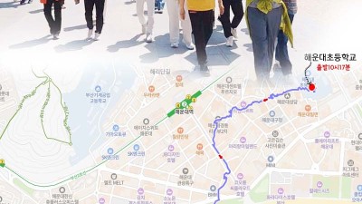 2026년 5월17일(일) 해초인 걷기축제