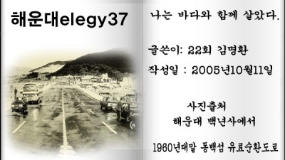 해운대elegy37, 나는 바다와 함께 살았다.